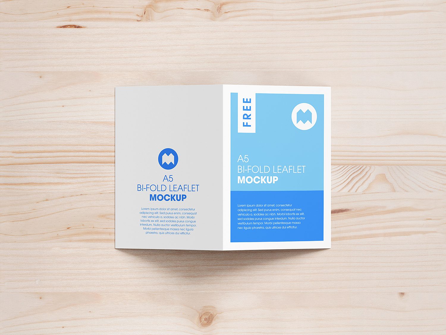 A5 Bi-Fold Leaflet Mockup