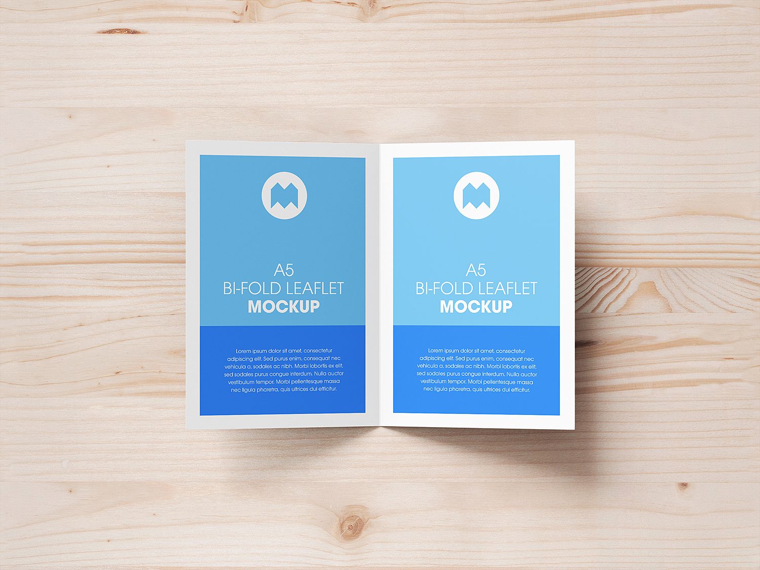 A5 Bi-Fold Leaflet Mockup