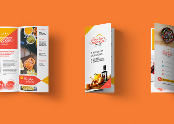 Bi-fold Brochure Mockup PSD