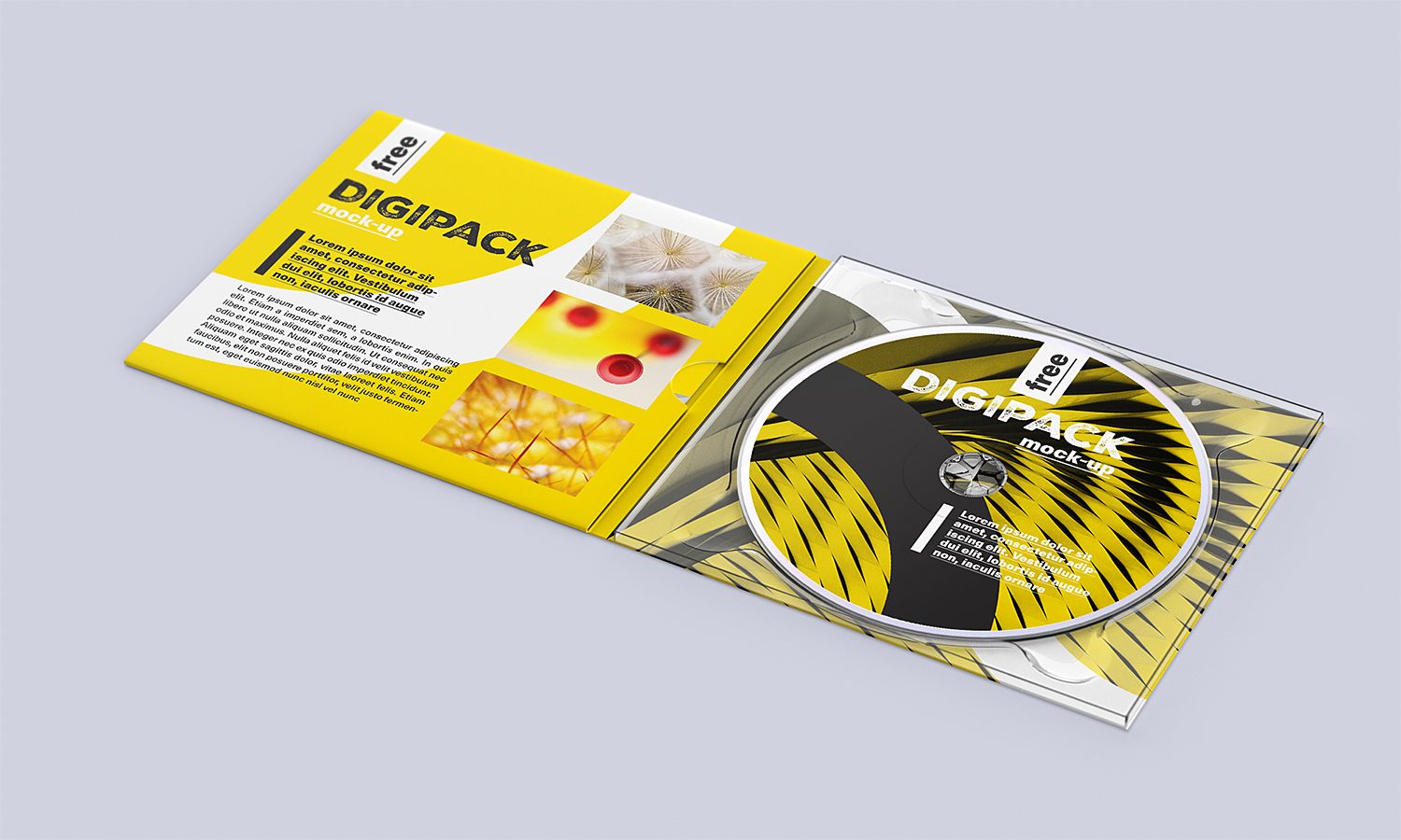 Free Digipack Mockup