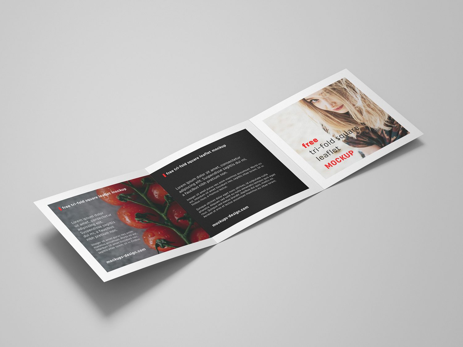 Square Tri-Fold Brochure Mockup PSD