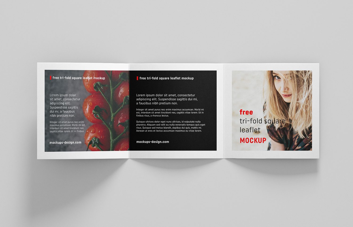 Square Tri-Fold Brochure Mockup PSD