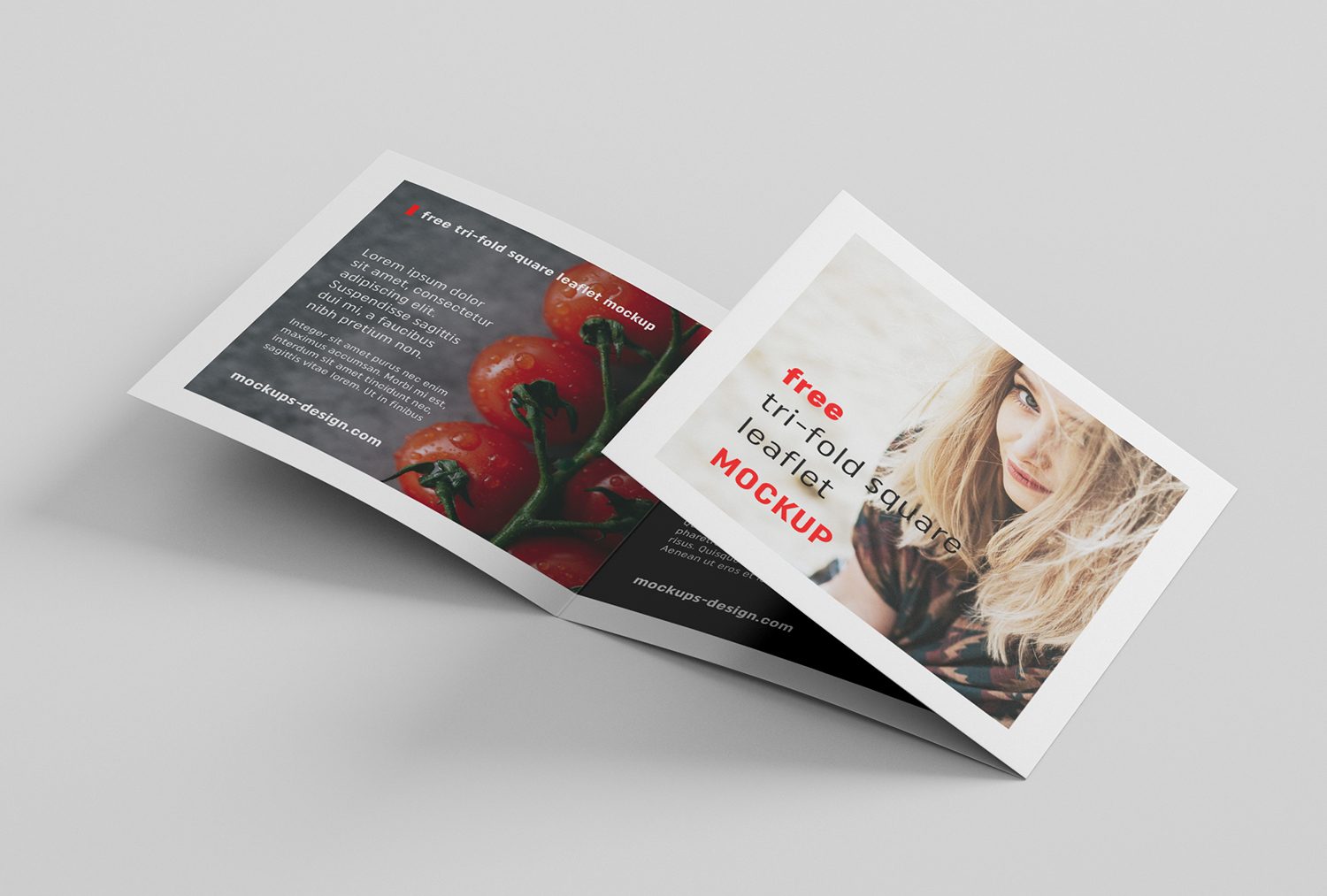 Square Tri-Fold Brochure Mockup PSD