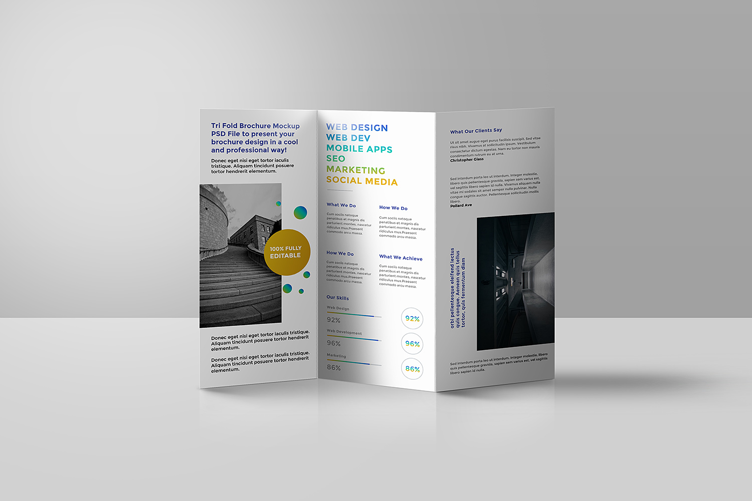 Download Tri Fold Brochure Mockup Psd Best Free Mockups