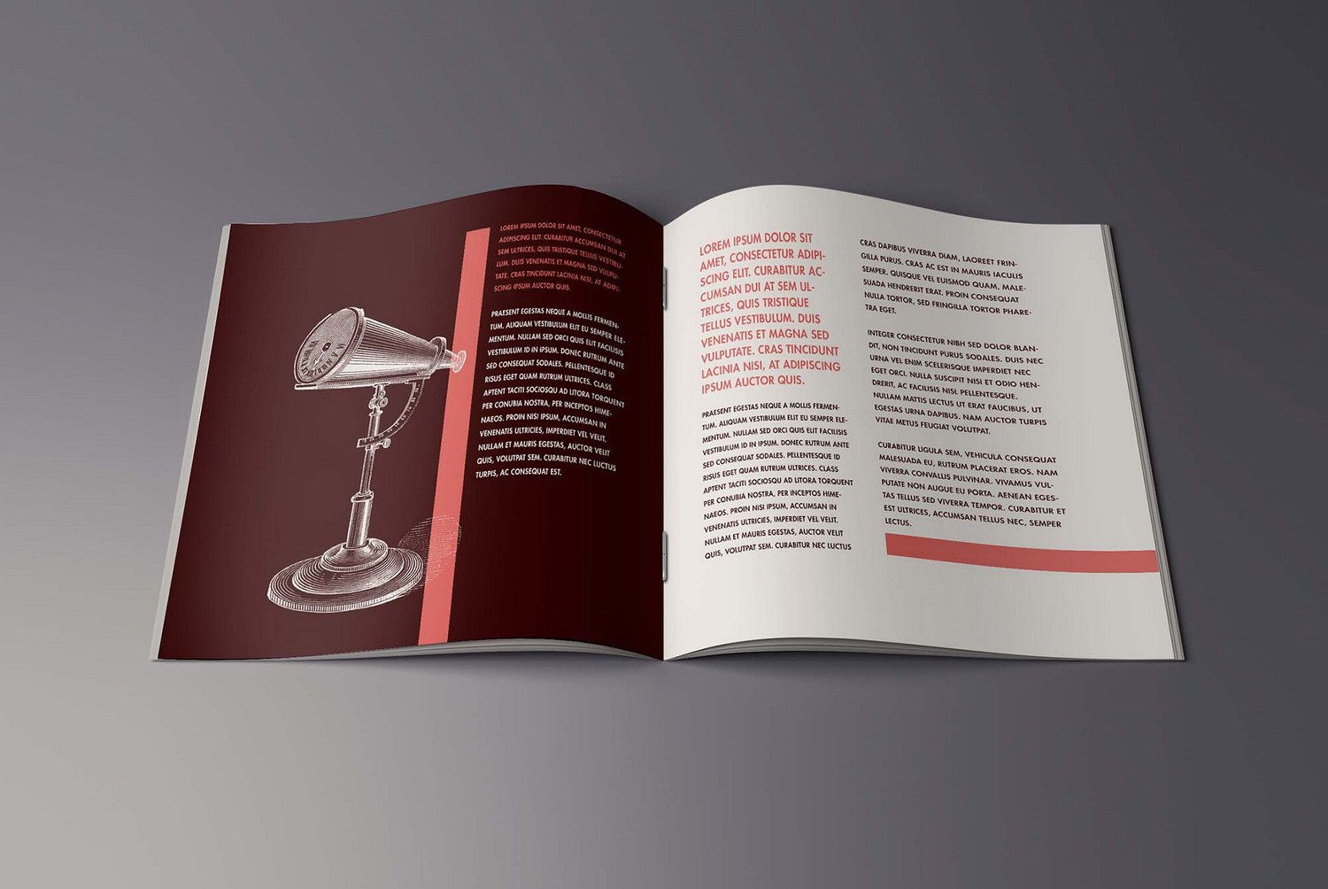 Free Title Inside Brochure PSD Mockup