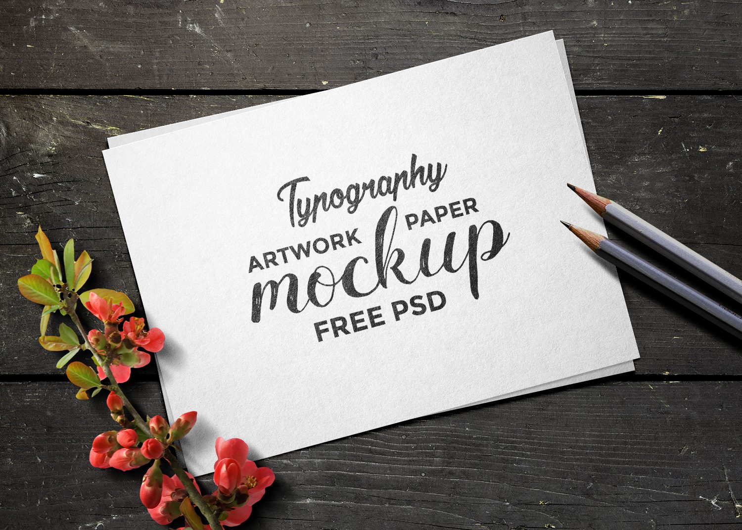 Typography Artwork Free Paper Mockup PSD