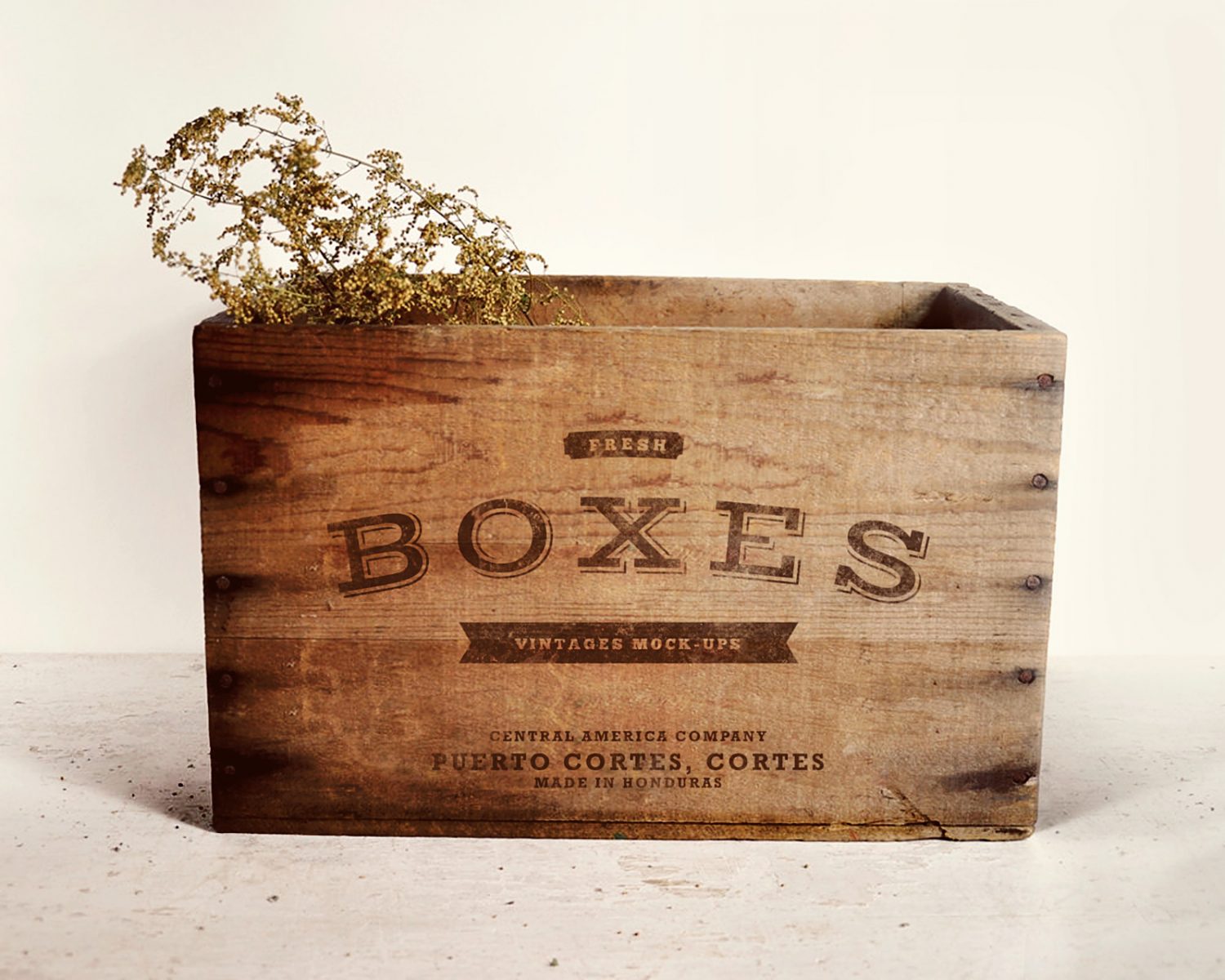 Vintage Boxes Logo Mockup