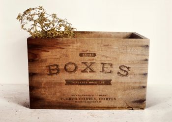 Vintage Boxes Logo Mockup