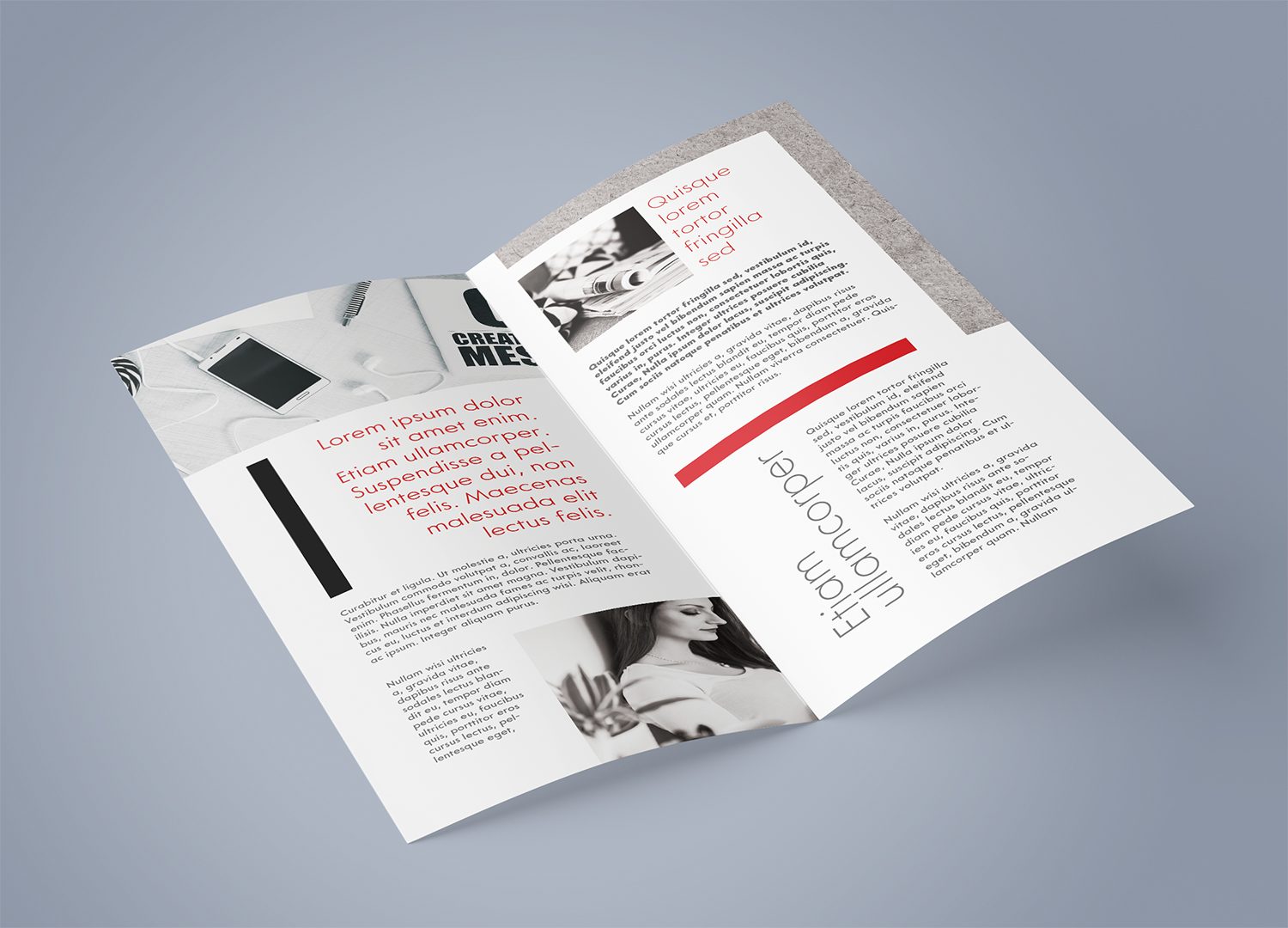 Bi-Fold DL Leaflet Mockup