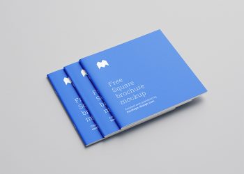 Square Brochure Mockup PSD