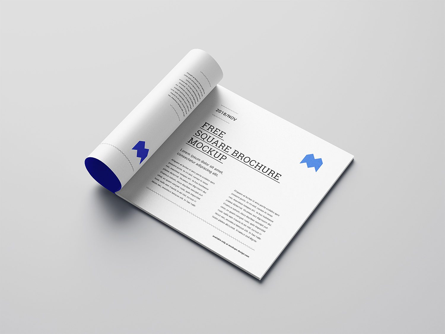 Square Brochure Mockup PSD