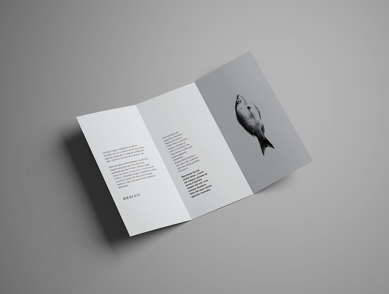 Advanced Trifold Brochure Mockup (7 angles)