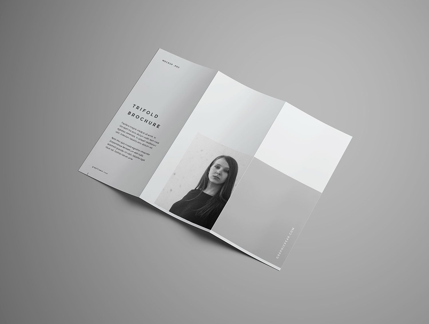 Advanced Trifold Brochure Mockup (7 angles)