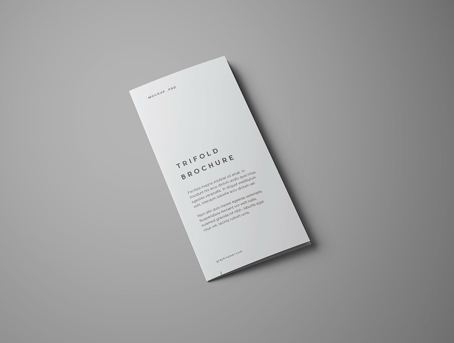 Advanced Trifold Brochure Mockup (7 angles)