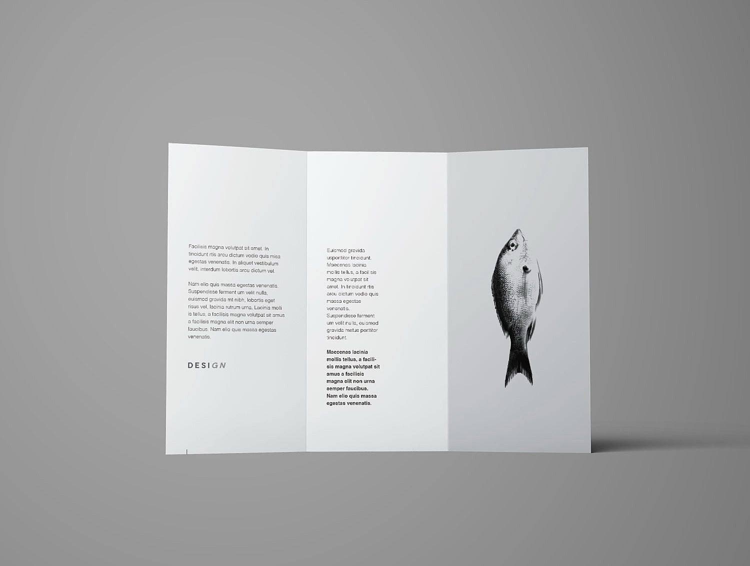 Advanced Trifold Brochure Mockup (7 angles)