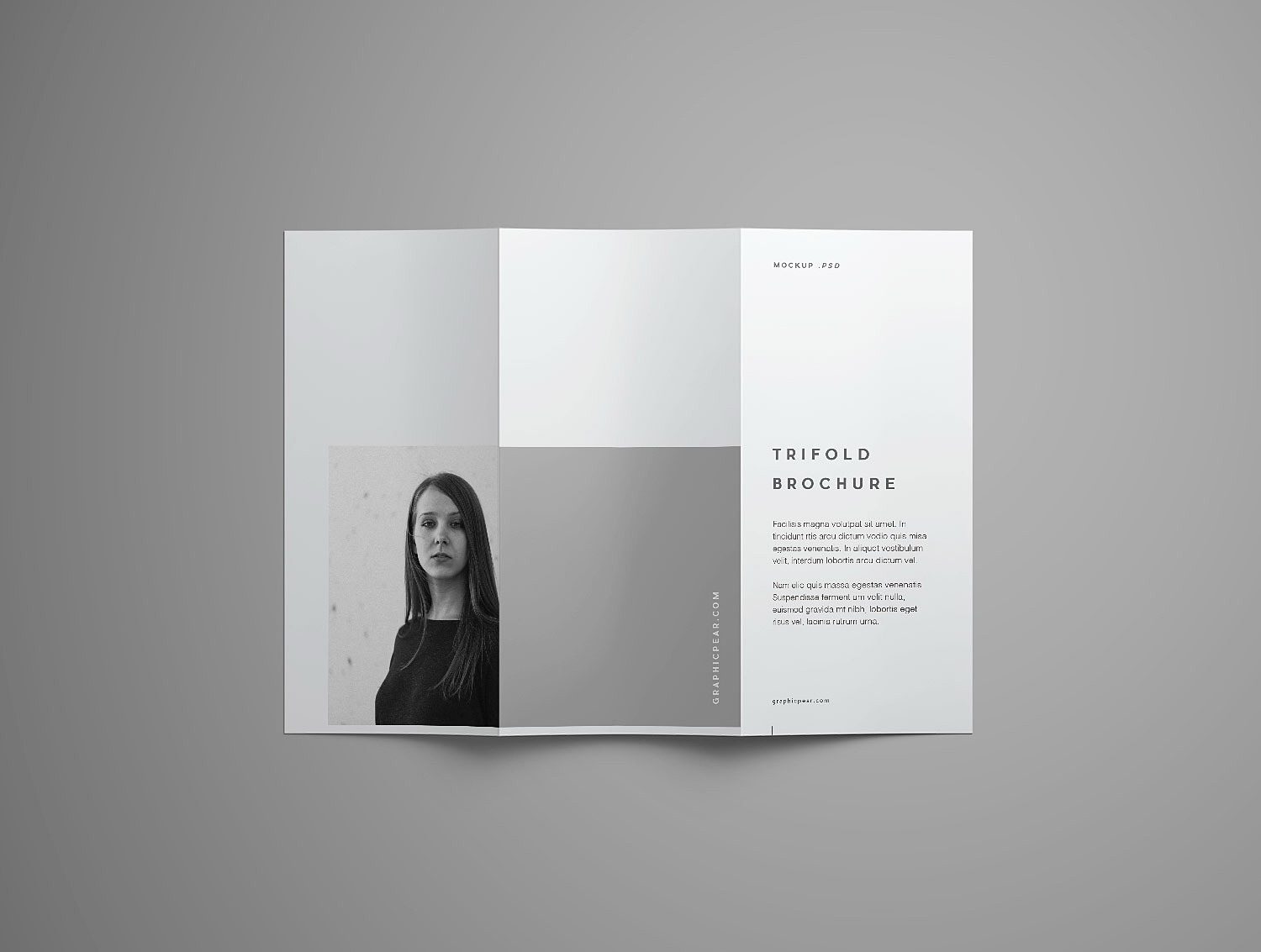 Advanced Trifold Brochure Mockup (7 angles)