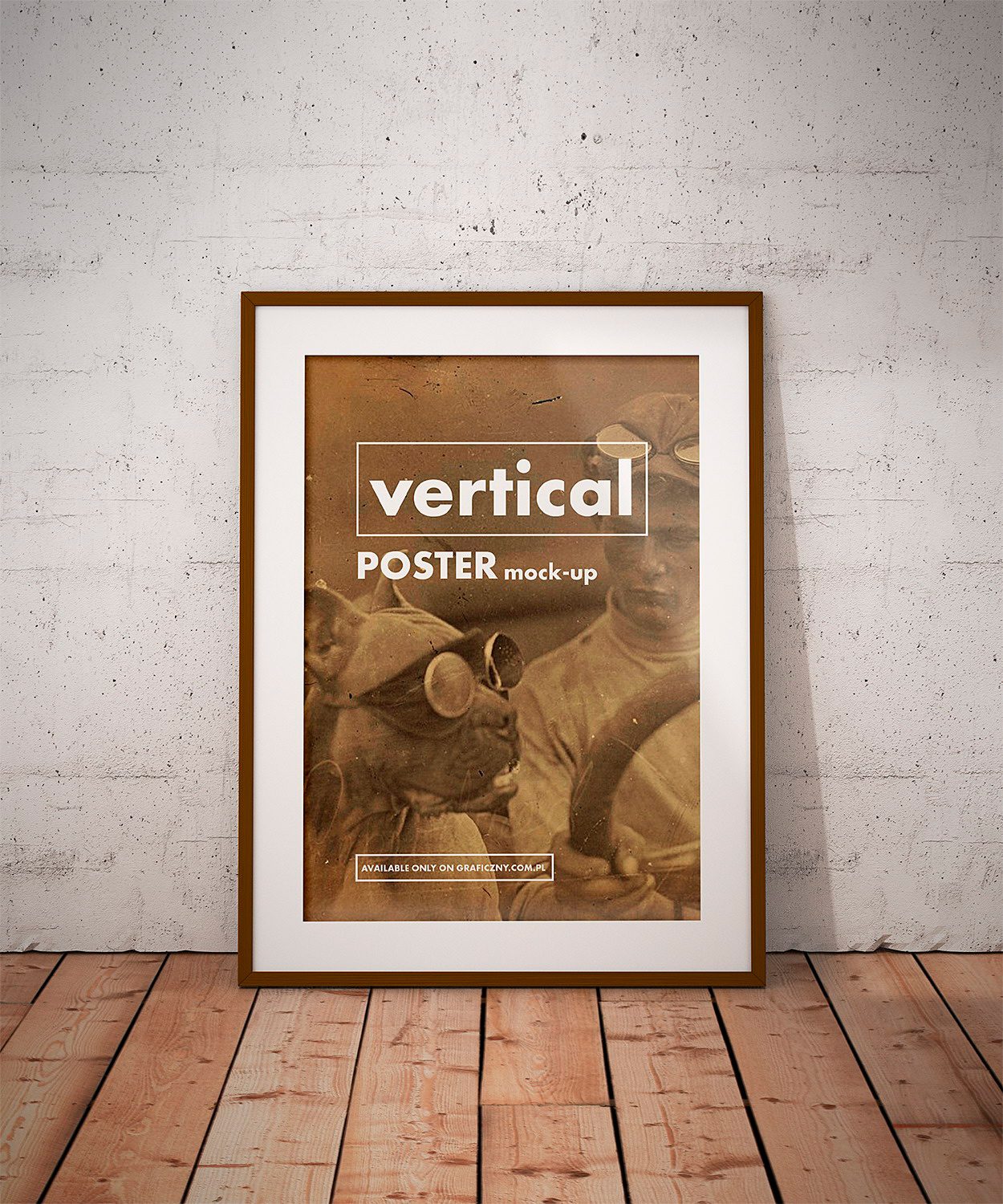 Free Vintage Posters Frame Mockup