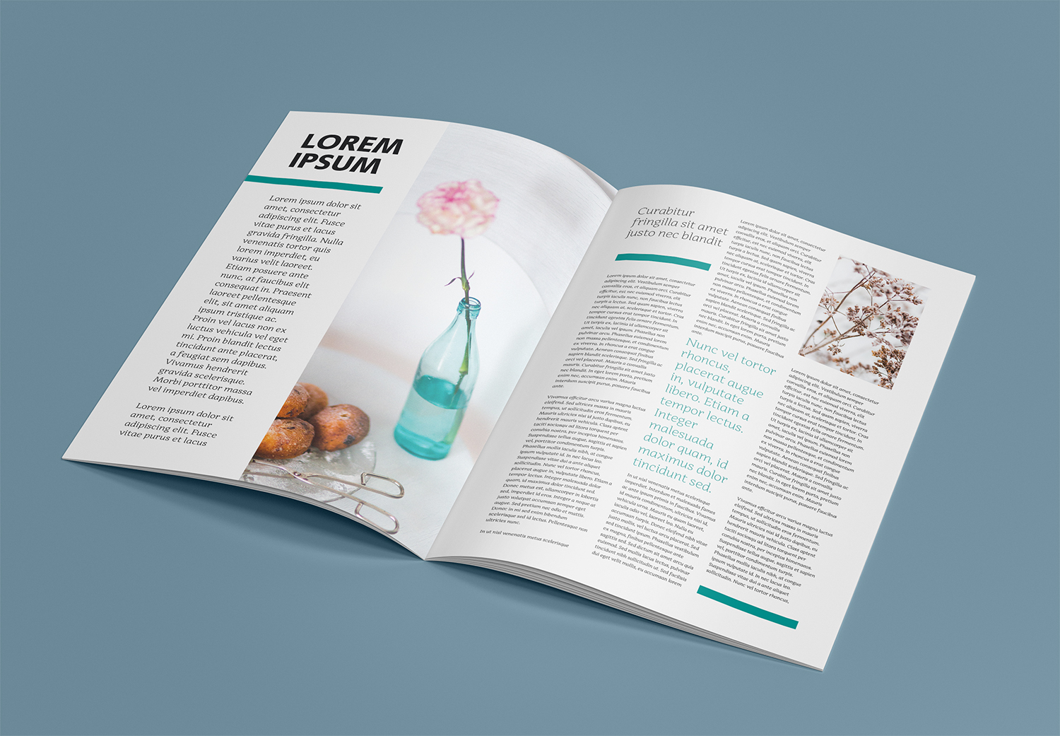 Download Free A4 Brochure Catalog Mockup Best Free Mockups PSD Mockup Templates