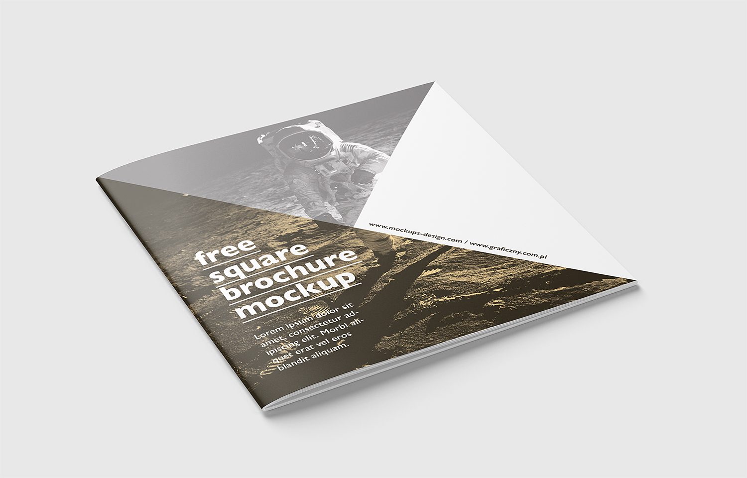 Free PSD Square Brochure Mockup