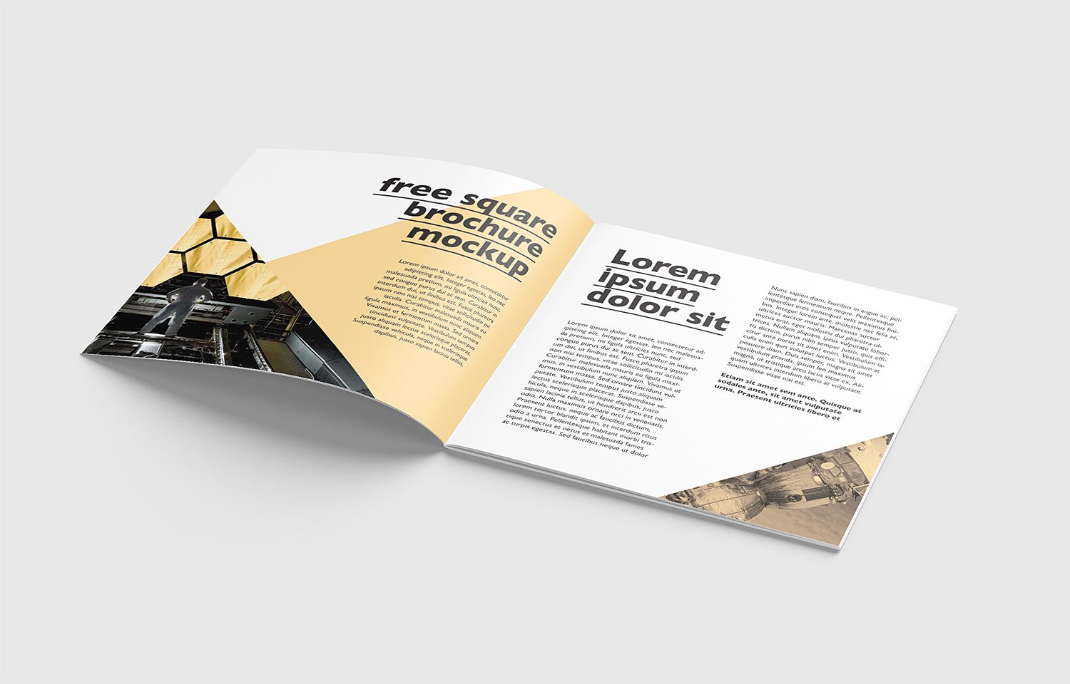 Free PSD Square Brochure Mockup