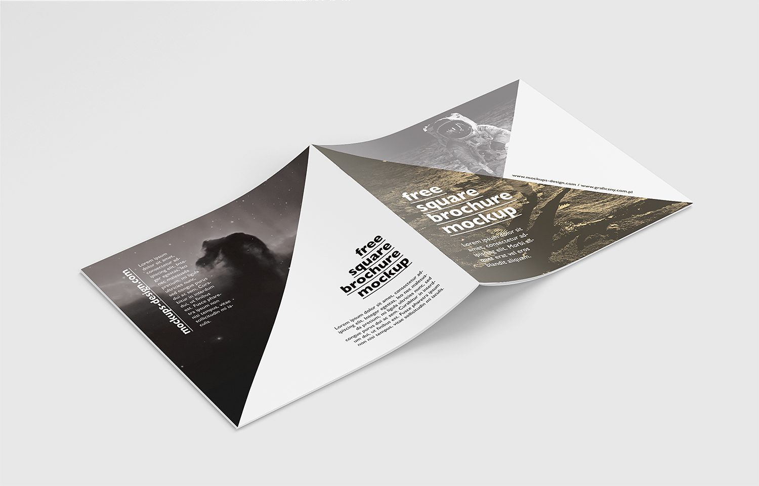 Free PSD Square Brochure Mockup