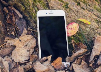 iPhone in Forest Mockup