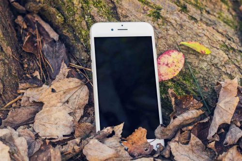 iPhone in Forest Mockup