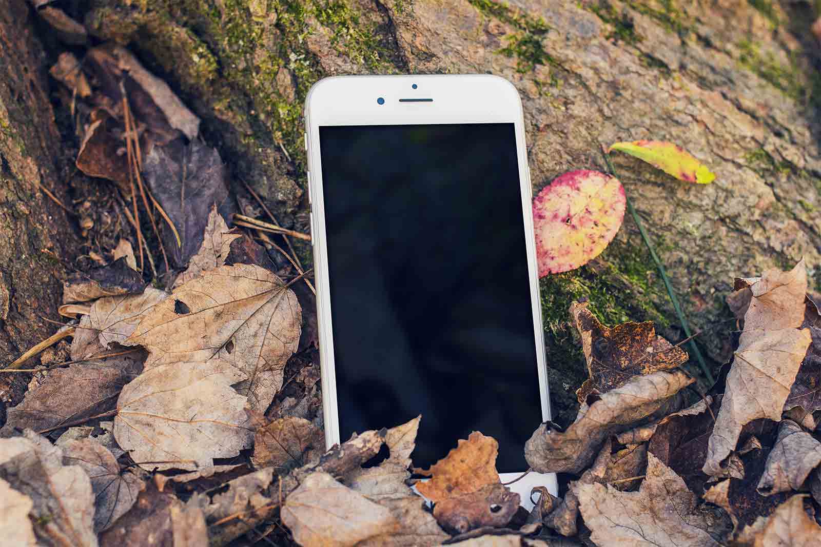 iPhone in Forest Mockup