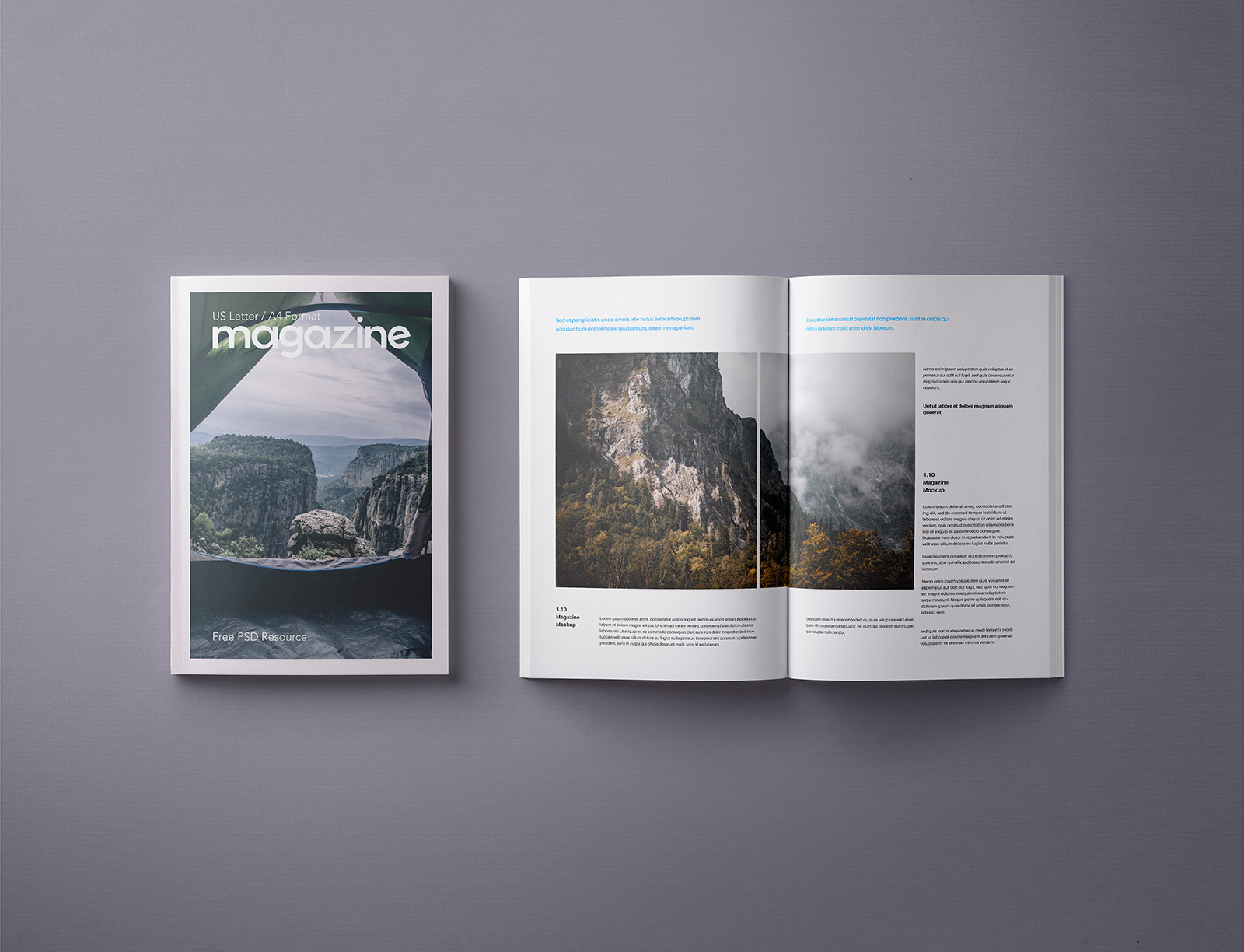 A4 Magazine Mockup Template PSD