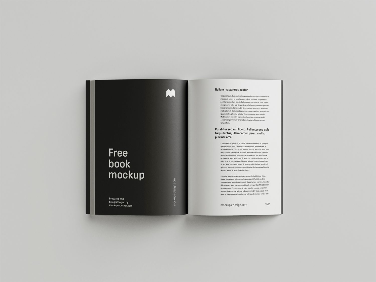 Free Book Mockup