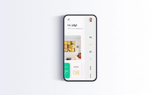 Phone Screens Mockup