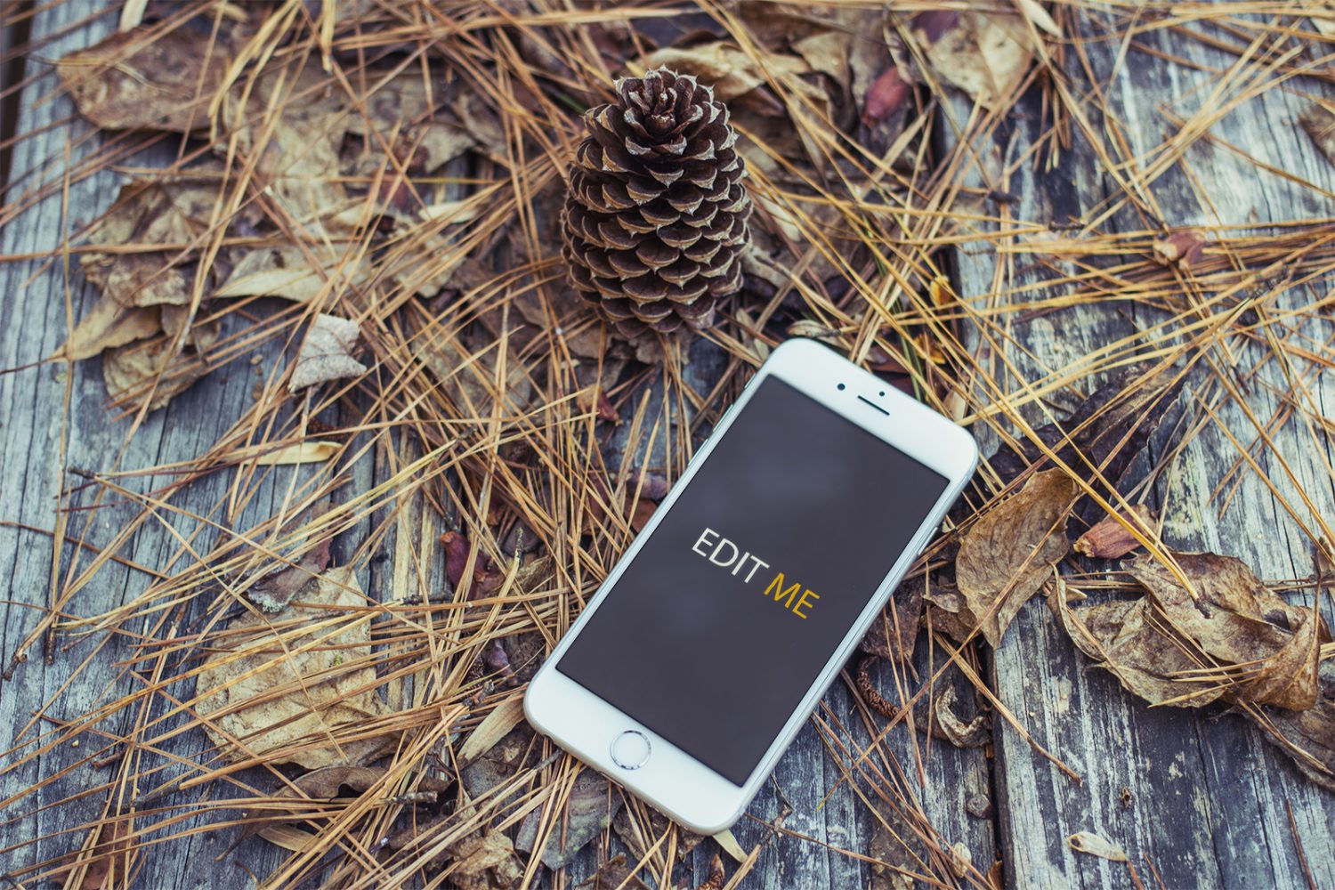 Autumn Style iPhone Mockup