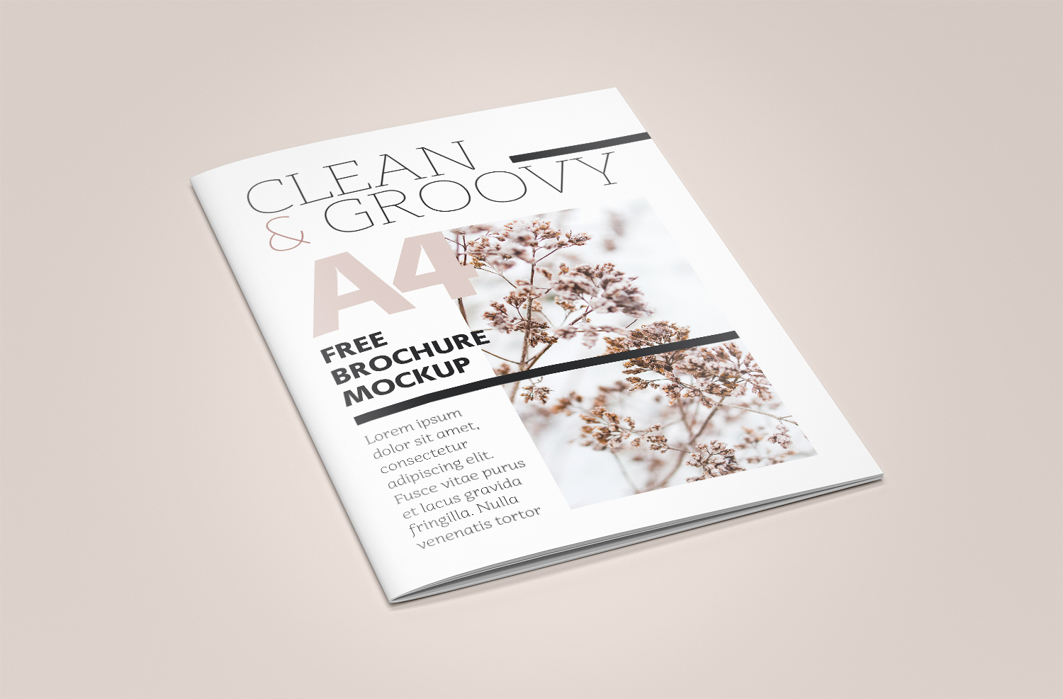 Magazine Mockup PSD