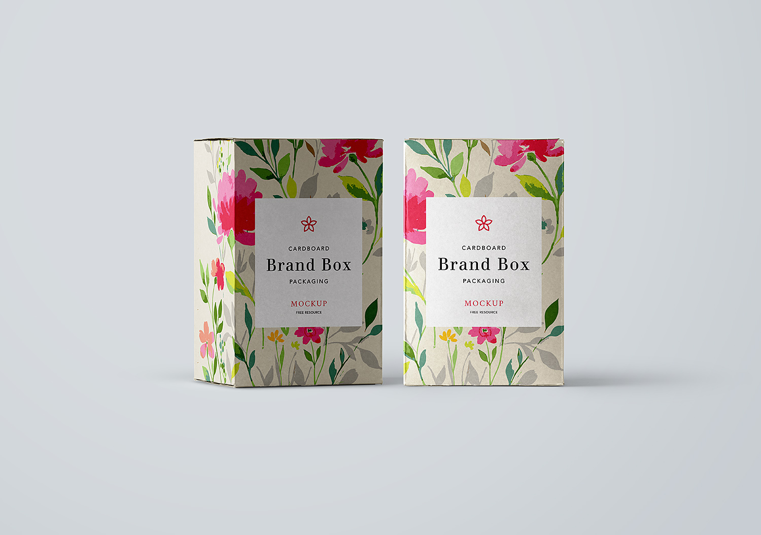 Cardboard Box Packaging Free Mockup