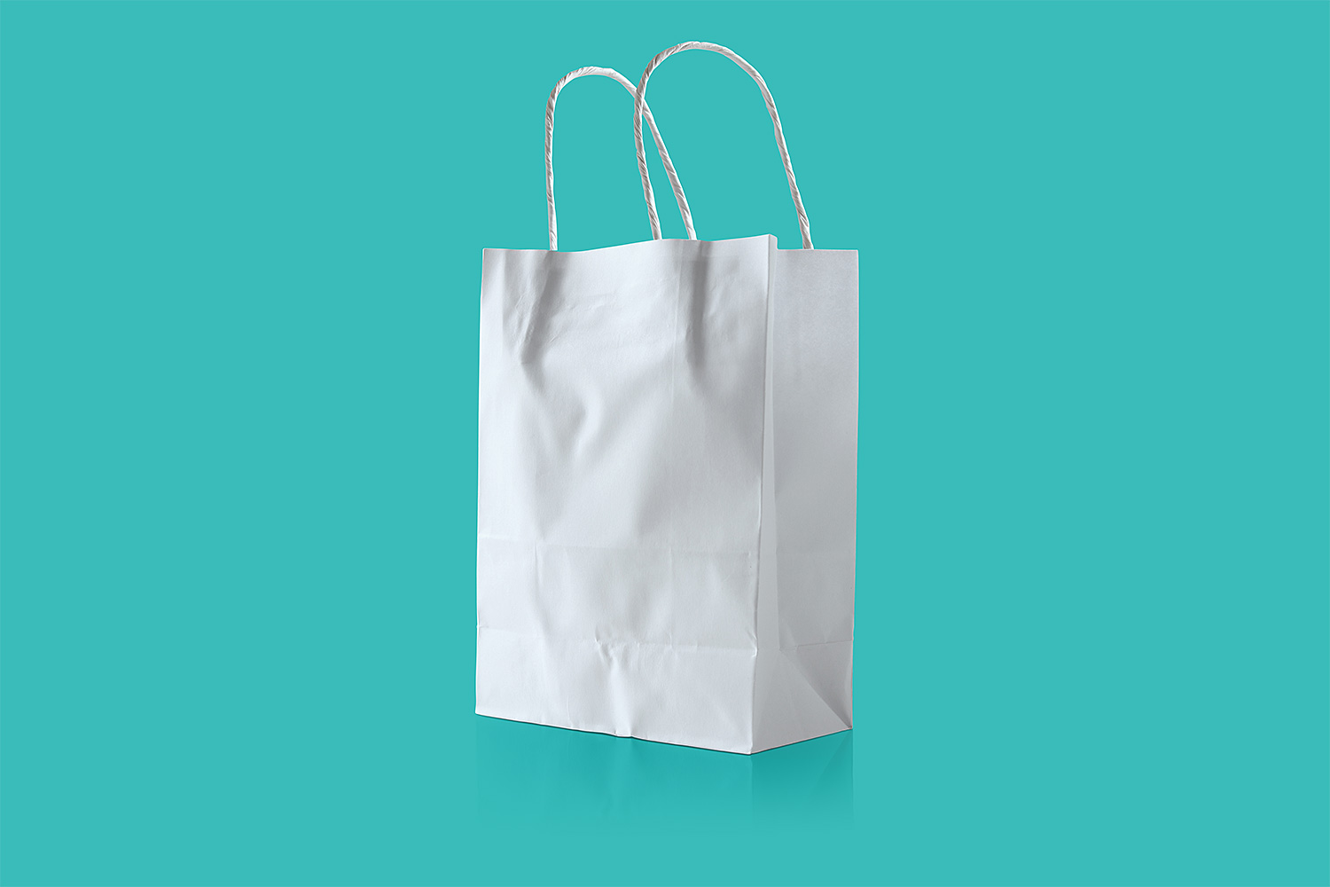 Paper Bag Mockup PSD