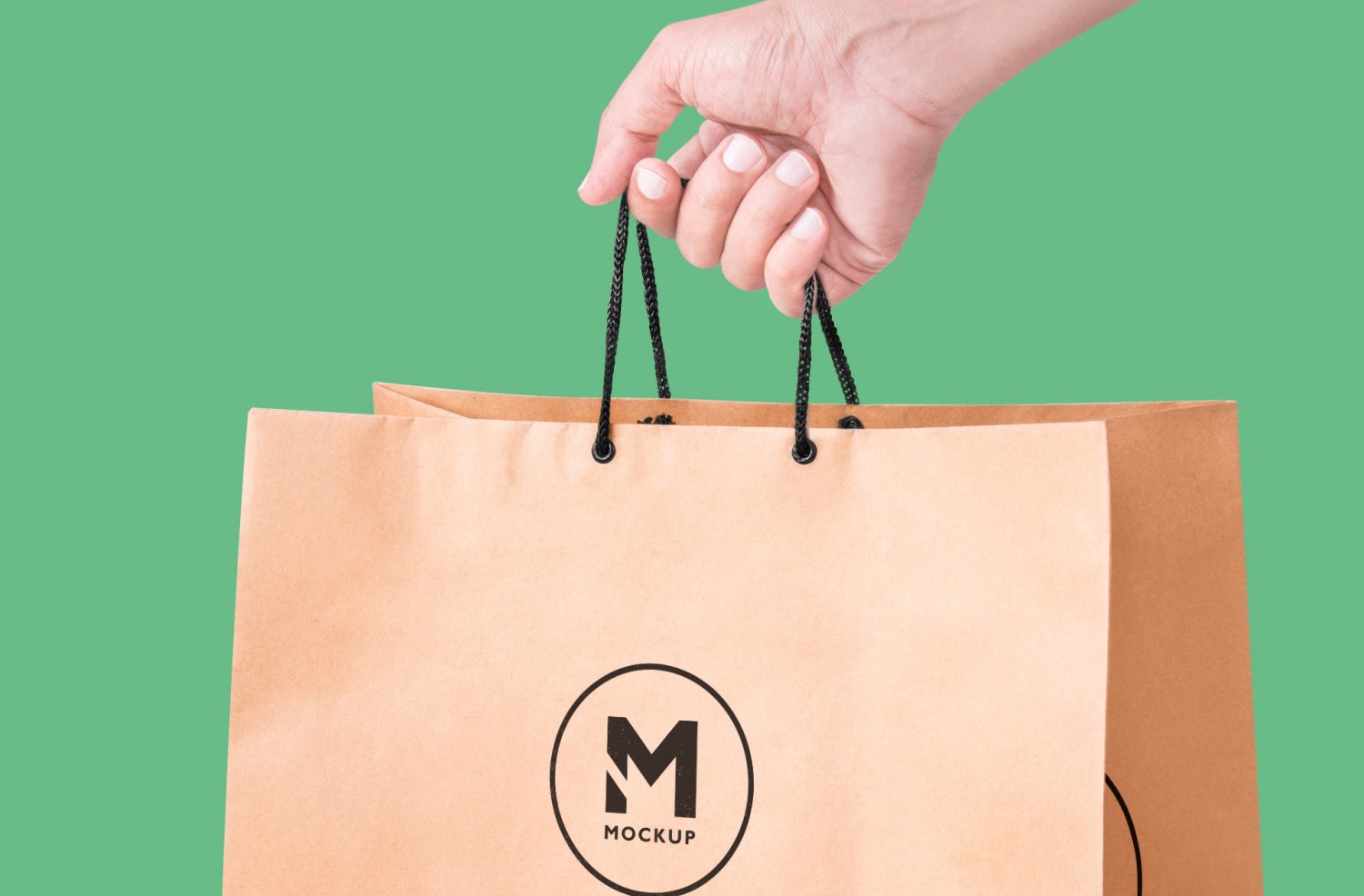 Free Paper Bag Mockup