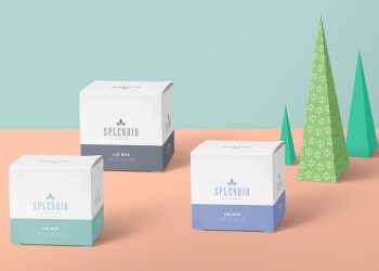 Free Paper Box Mockup PSD