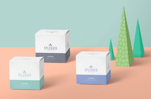 Free Paper Box Mockup PSD