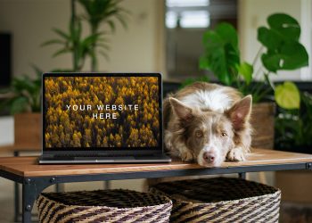 MacBook with Dog Mockup