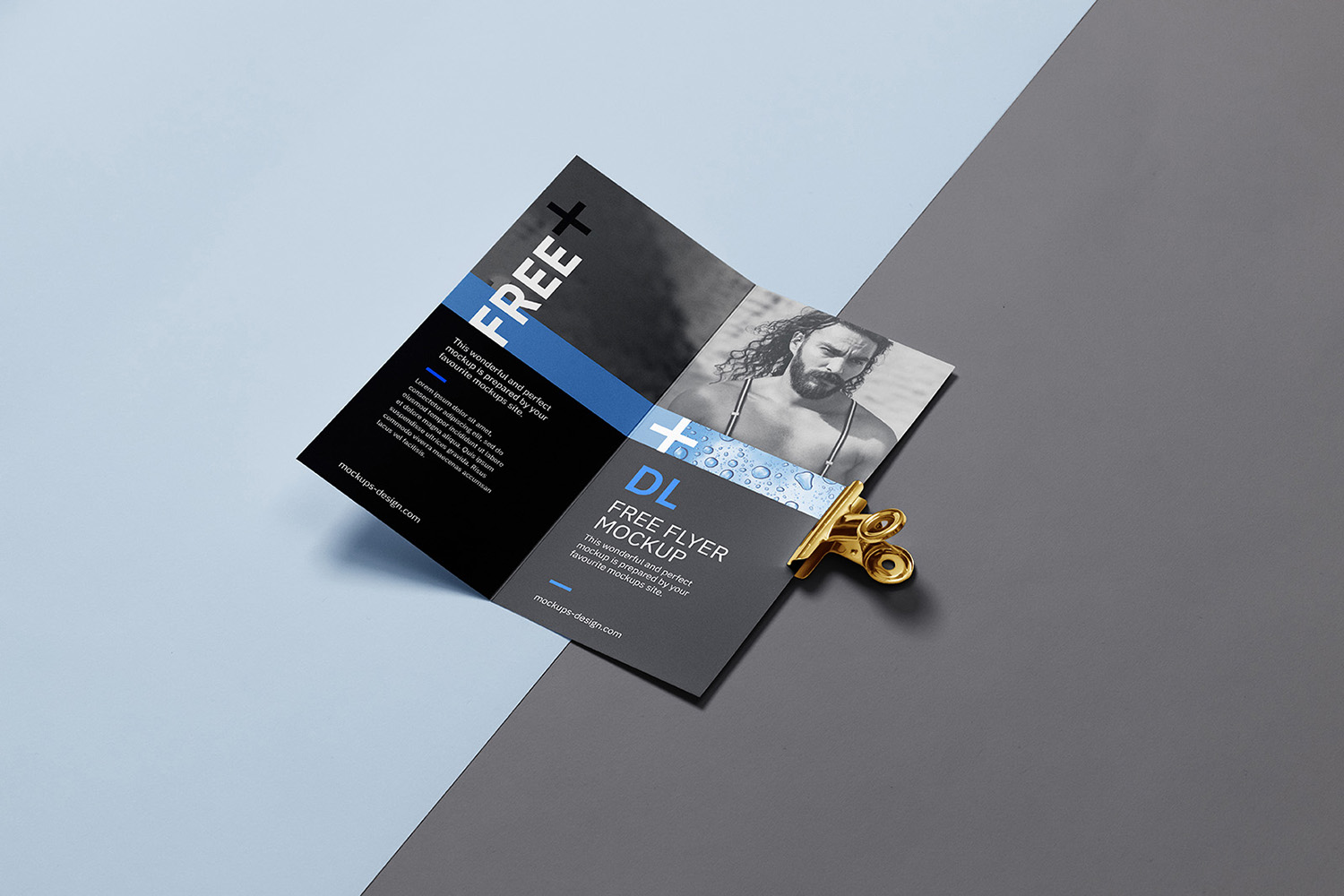 Bi fold DL Flyer with a Clip Free Mockup