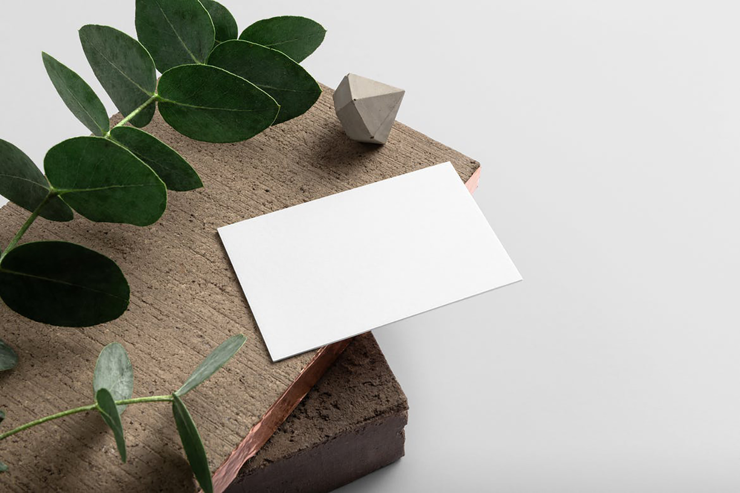 Free Business Card Mockup