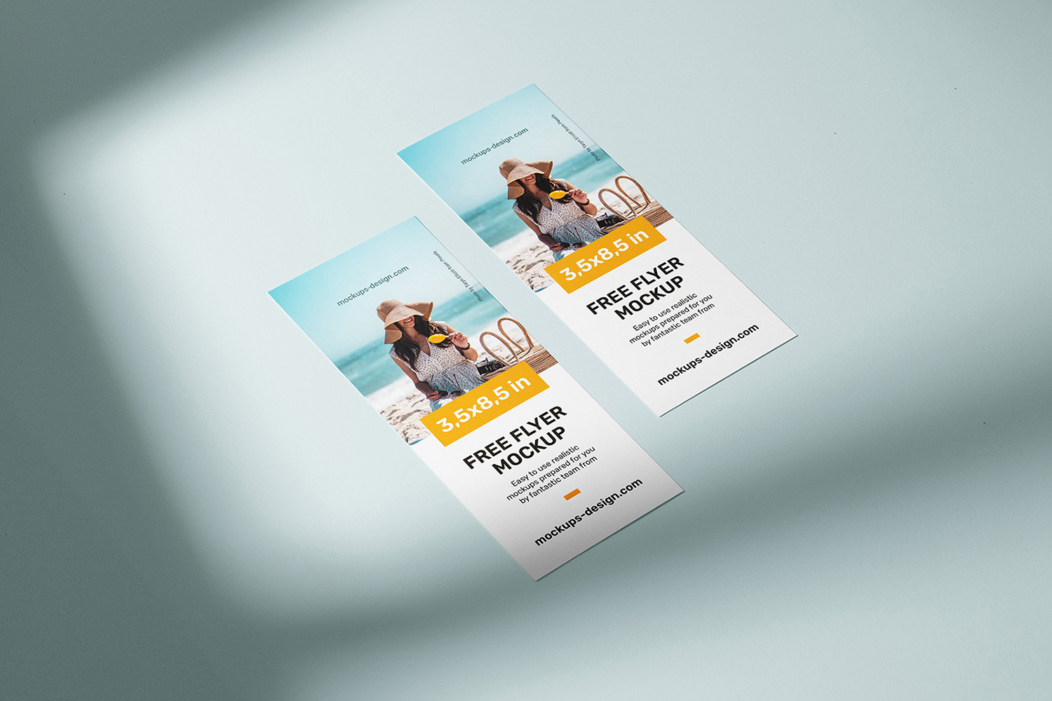 Free Flyer Mockup