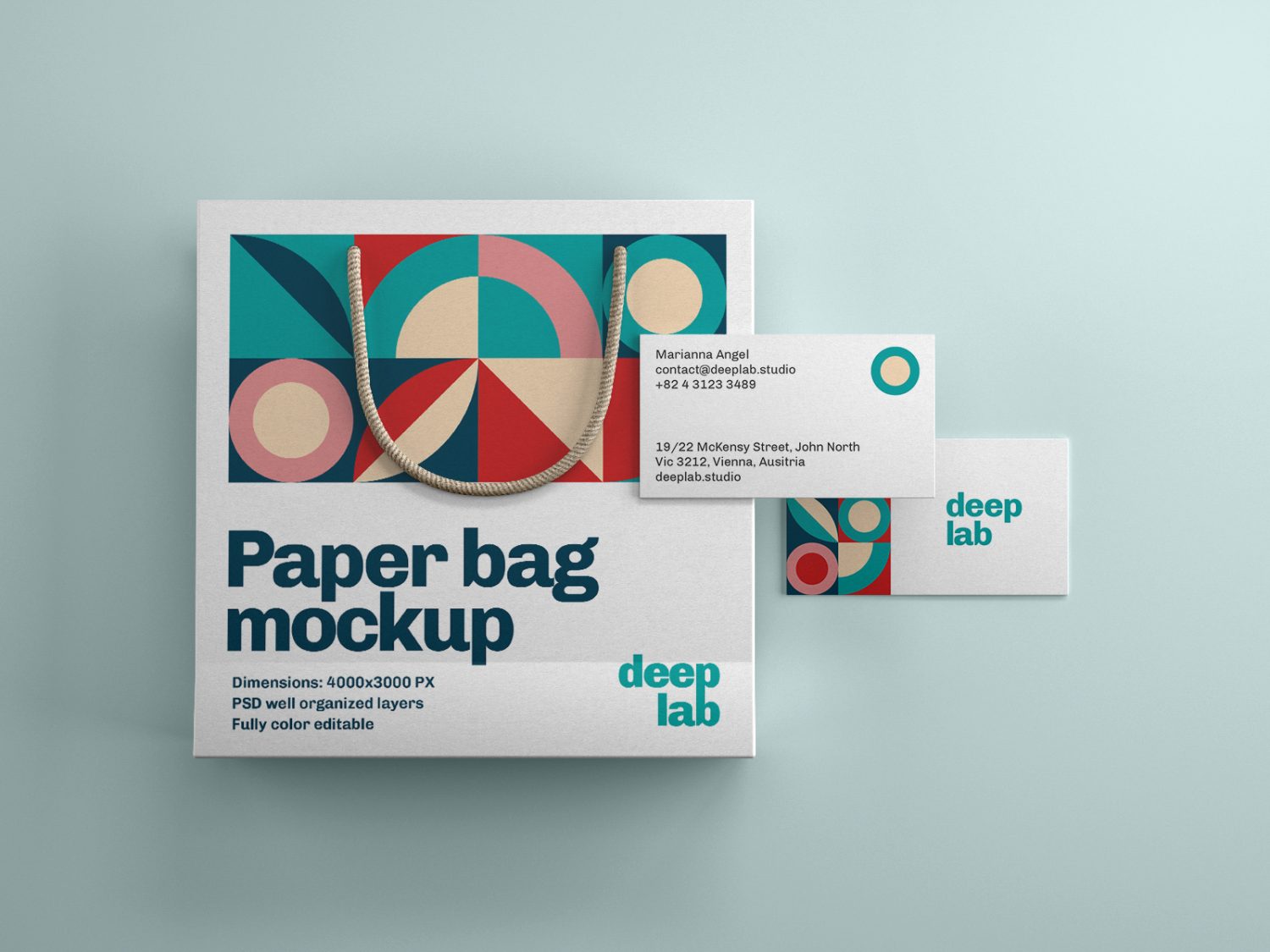 Paper Bag with Business Card Free Mockup