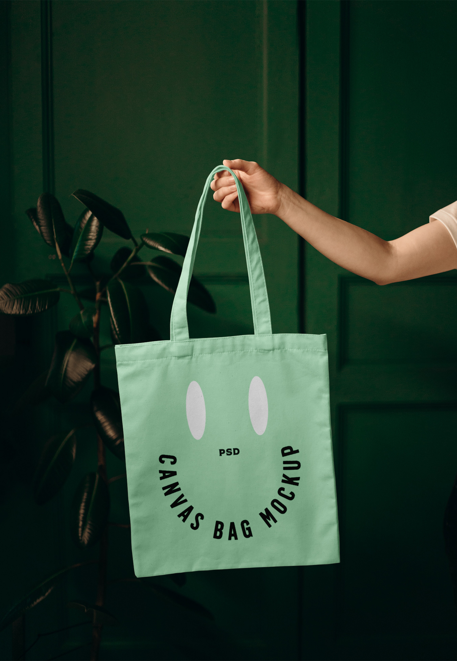 Canvas Bag in Leaving Room Mockup