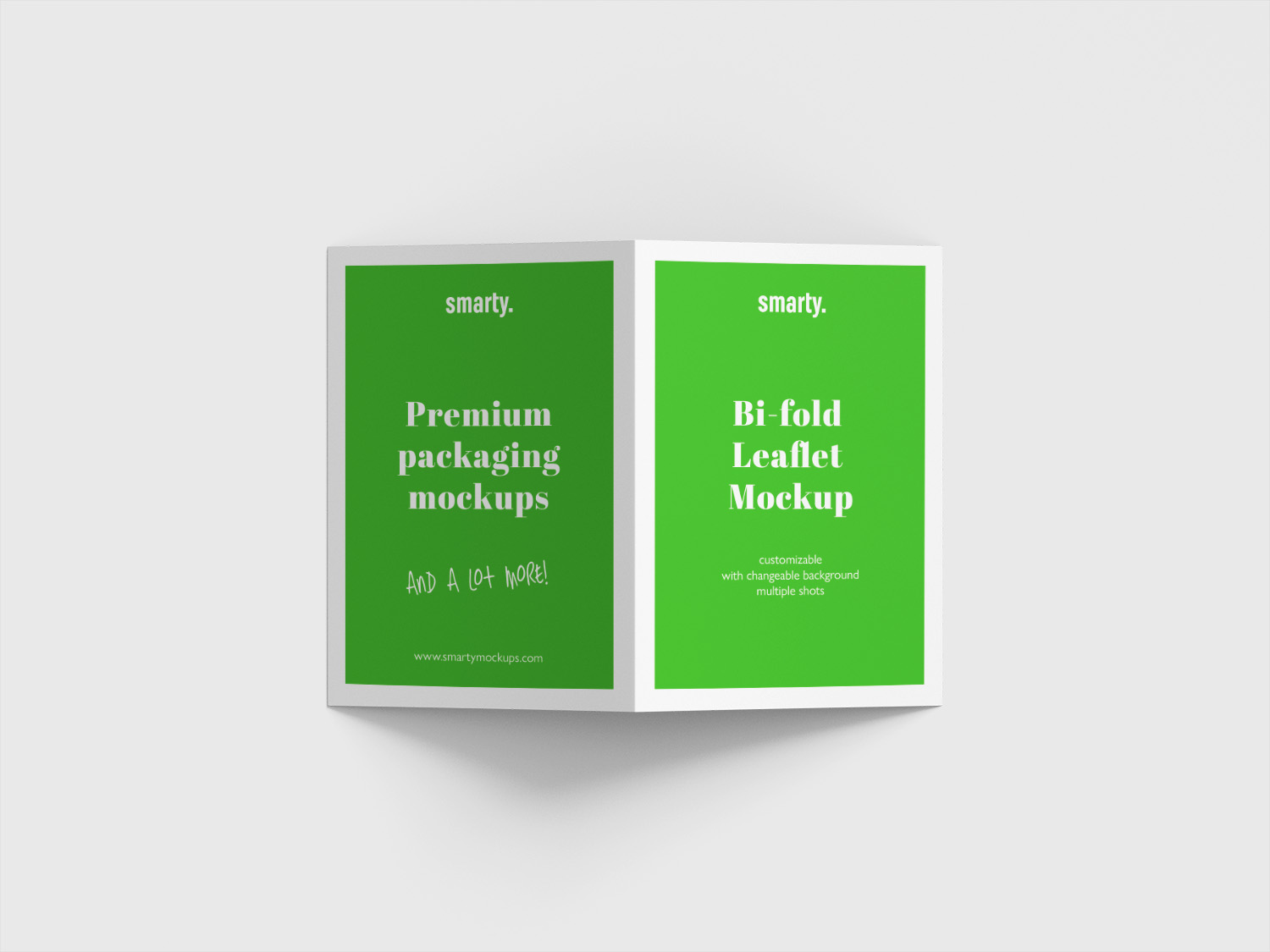 Bi Fold Leaflet Mockup