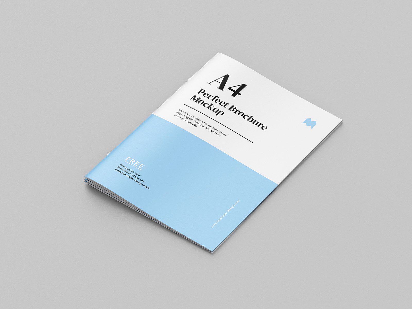 A4 Psd Magazine Booklet Mockup Vol3