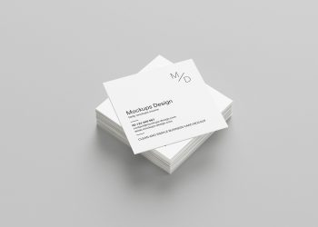 Free Square Business Card Mockup