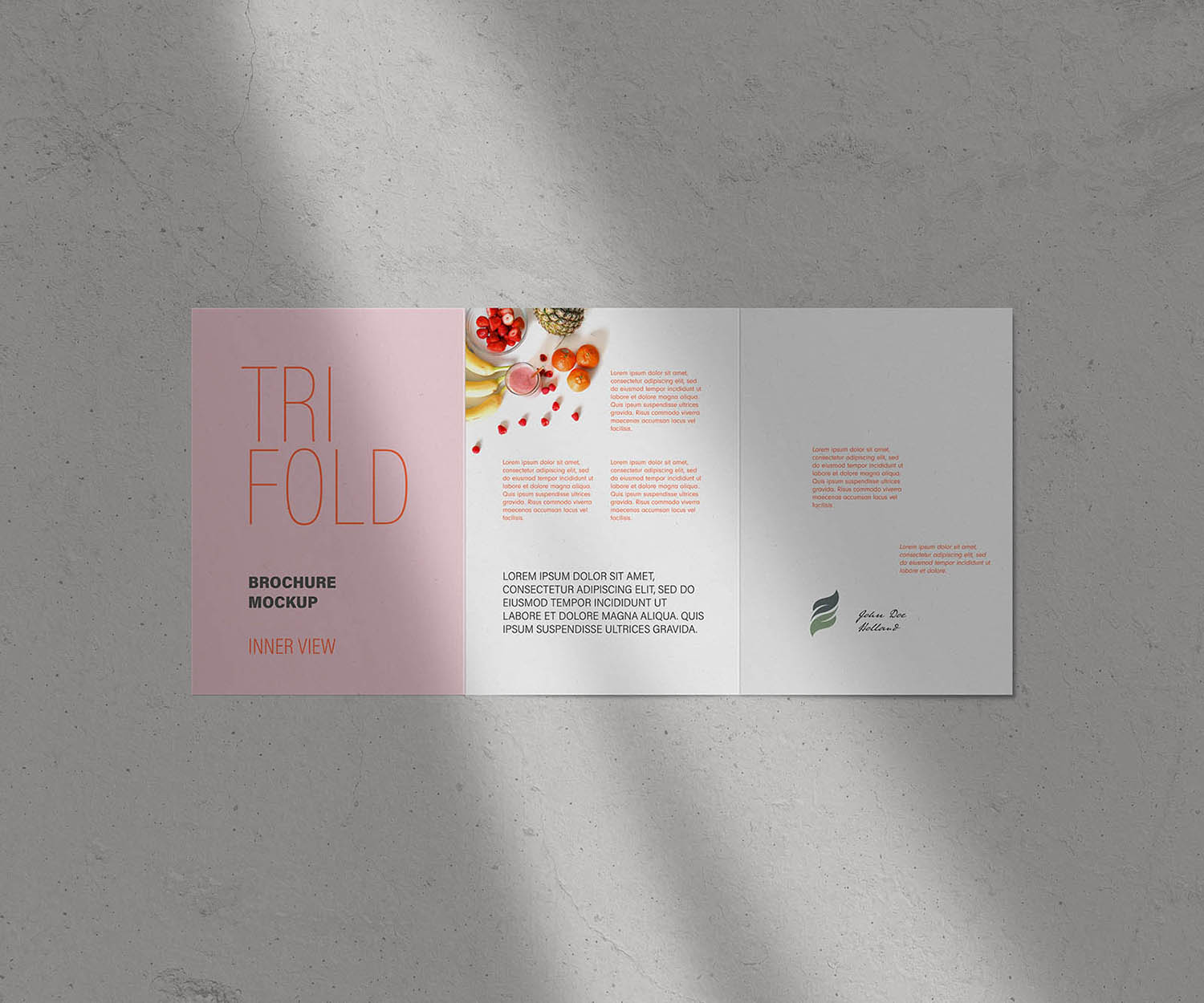 Trifold Brochure Mockup
