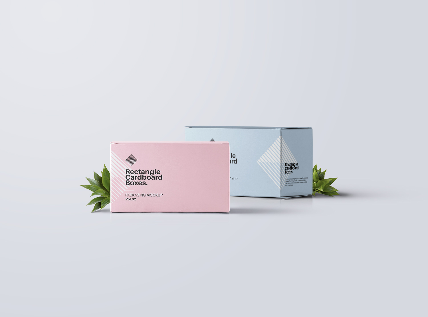 Rectangular Psd Box Mockup