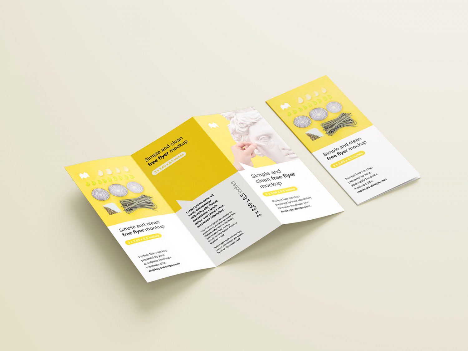 US Tri-fold Flyer Mockup